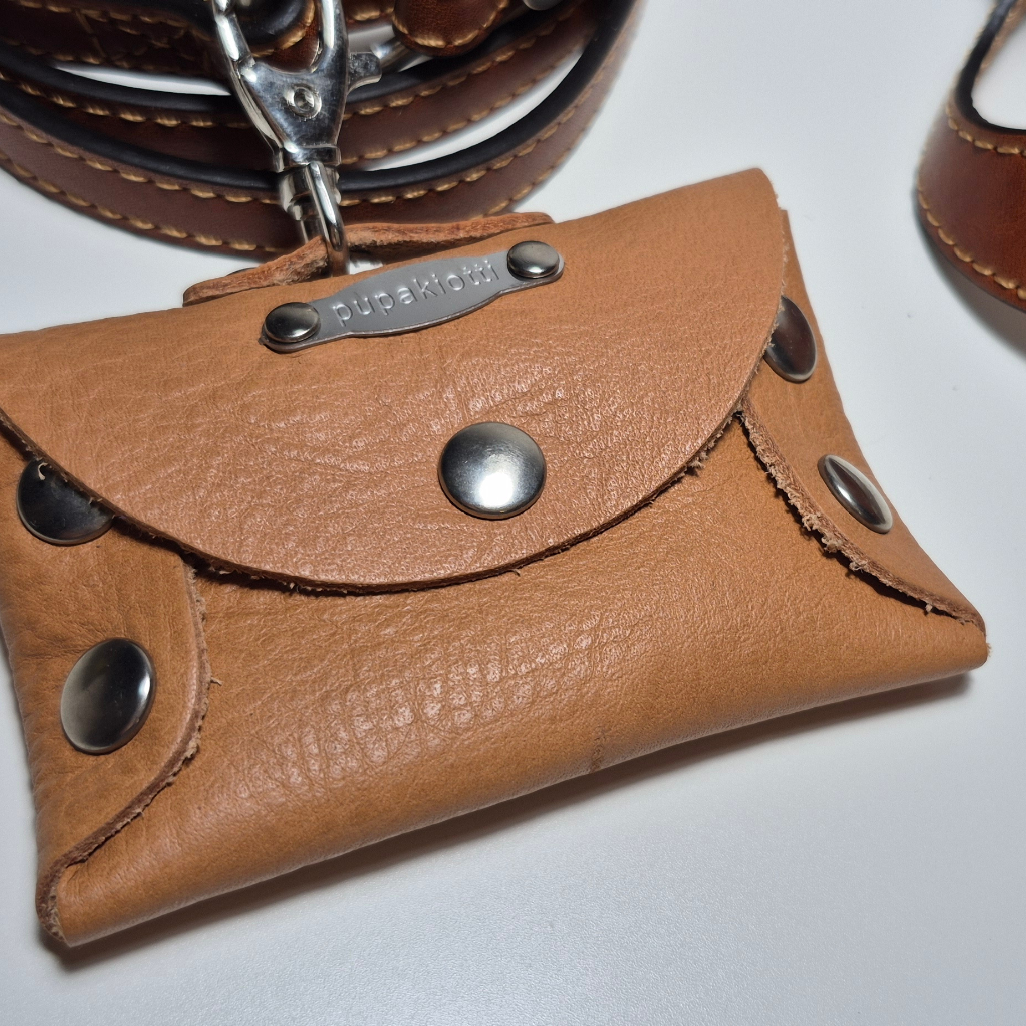 Set Pettorina e Guinzaglio in Pelle con Porta Sacchetti